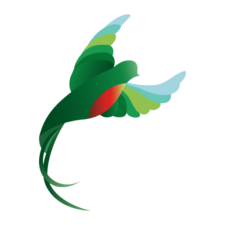 mayasun5-travel-agency-guatemala-tours-trips